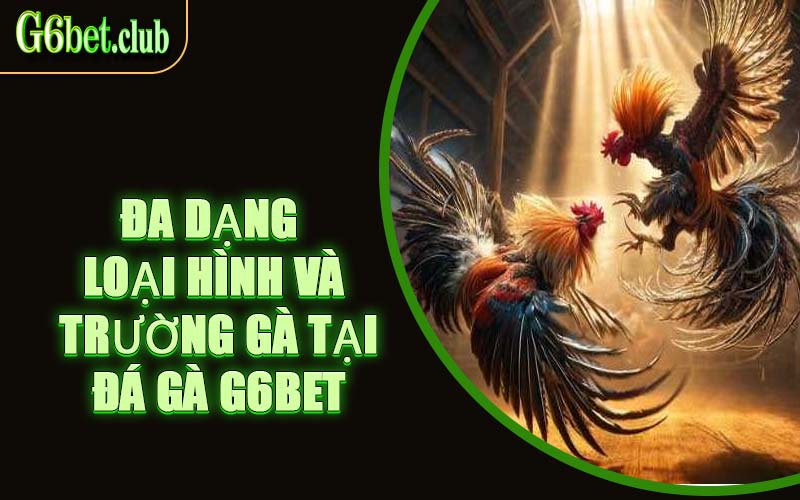 Đa Dạng Loại Hình Và Trường Gà Tại Đá Gà G6bet